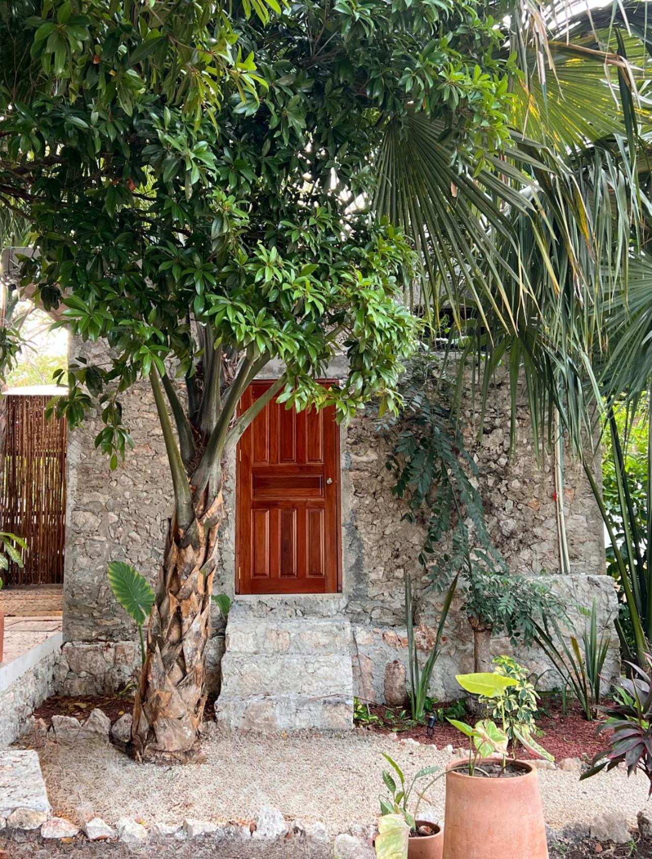 Hotel Shamalay - Nomad Experience à Bacalar Extérieur photo